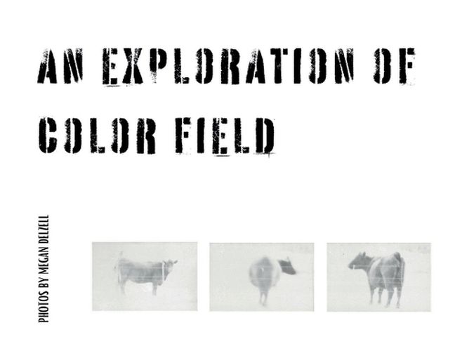 Cover image for An Exploration In Color Field