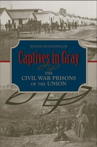 Cover image for Captives in Gray