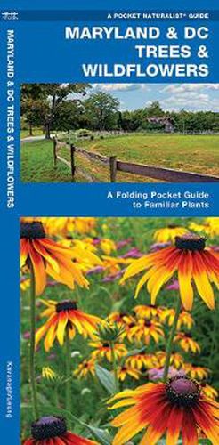 Cover image for Maryland & DC Trees & Wildflowers: A Folding Pocket Guide to Familiar Species