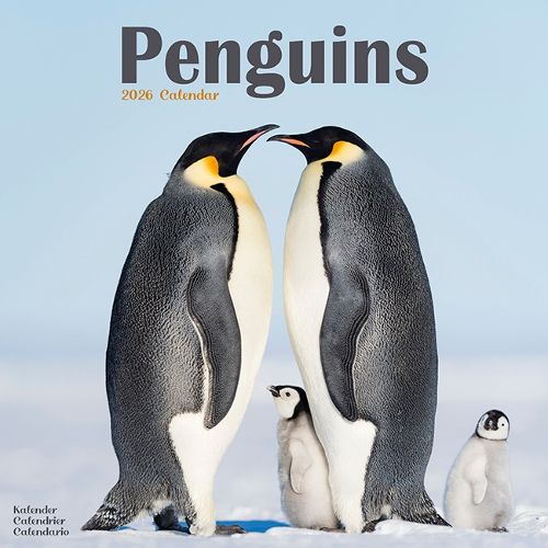 Cover image for Penguins Calendar 2026 Square Animal Wall Calendar - 16 Month
