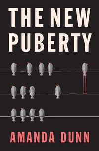 Cover image for The New Puberty