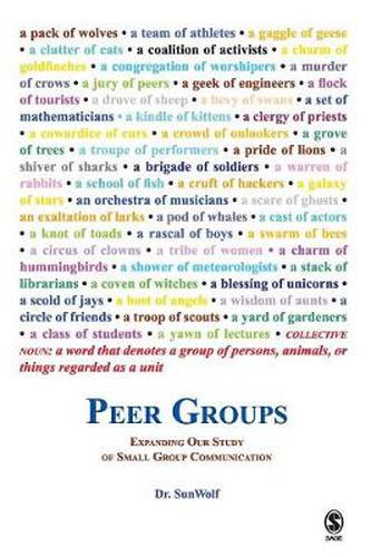 Cover image for Peer Groups: Expanding Our Study of Small Group Communication