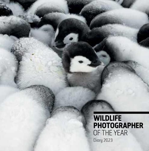 Cover image for Wildlife Photographer of the Year: Pocket Diary 2023