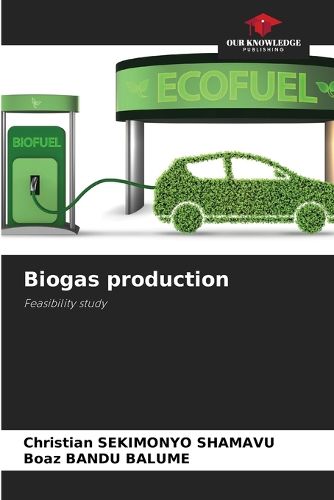 Cover image for Biogas production