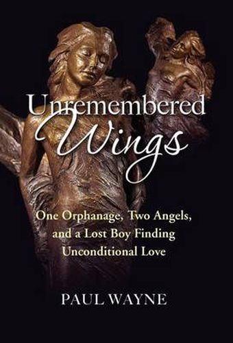 Cover image for Unremembered Wings