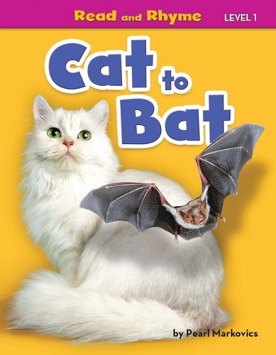 Cover image for Cat to Bat