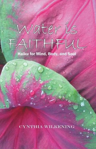 Cover image for Water Is Faithful