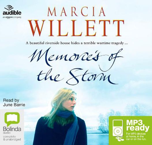 Cover image for Memories of the Storm