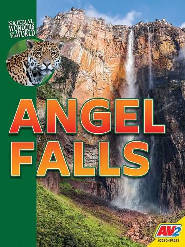 Cover image for Angel Falls