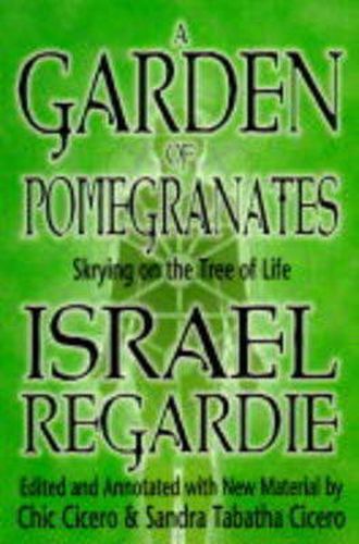 Cover image for A Garden of Pomegranates