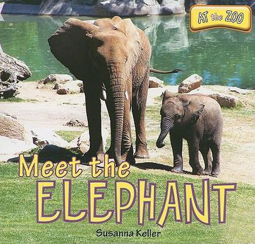 Meet the Elephant