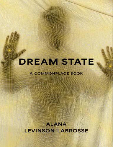 Cover image for Dream State