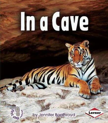 Cover image for In A Cave