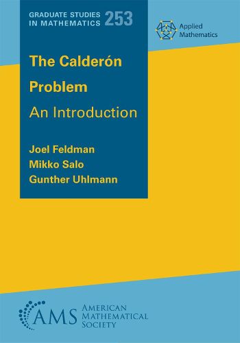 Cover image for The Calderon Problem