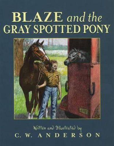 Cover image for Blaze and the Gray Spotted Pony