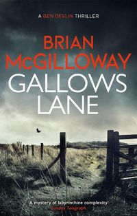 Cover image for Gallows Lane: An ex con and drug violence collide in the borderlands of Ireland...