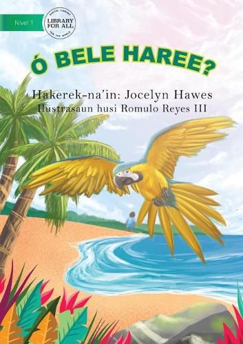 Cover image for Look Can You See (Tetun edition) - O bele haree?