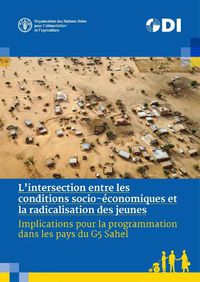 Cover image for L'intersection entre les conditions socio-economiques et la radicalisation des jeunes: Implications pour la programmation dans les pays du G5 Sahel