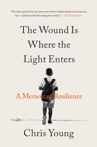 Cover image for The Wound Is Where the Light Enters