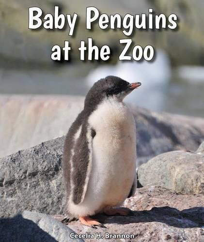 Cover image for Baby Penguins at the Zoo