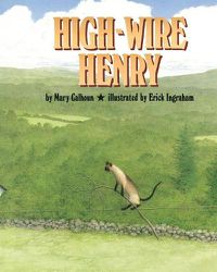 Cover image for High-Wire Henry