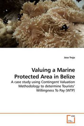 Cover image for Valuing a Marine Protected Area in Belize