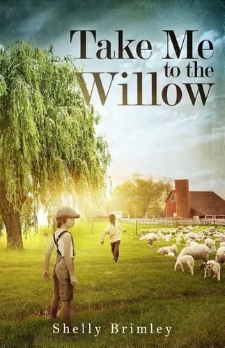 Cover image for Take Me to the Willow