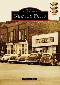 Cover image for Newton Falls