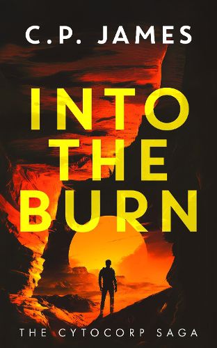 Cover image for Into the Burn