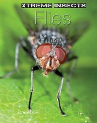 Cover image for Flies