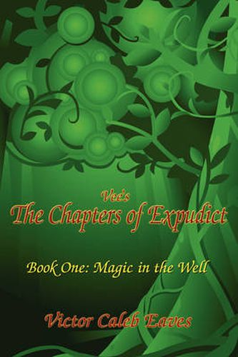 Cover image for Vee's the Chapters of Expudict