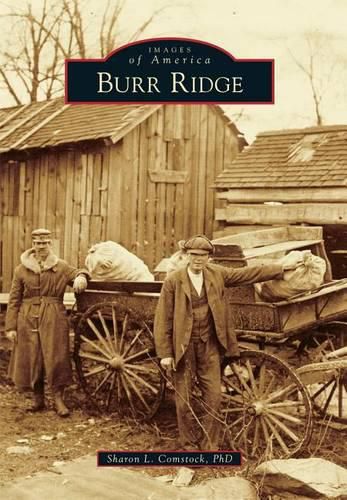 Cover image for Burr Ridge