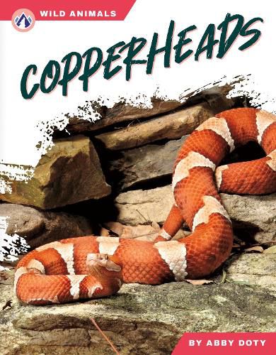 Cover image for Copperheads