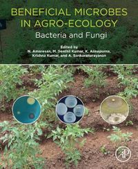 Cover image for Beneficial Microbes in Agro-Ecology: Bacteria and Fungi