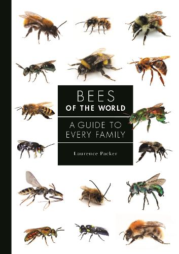 Cover image for Bees of the World: A Guide to Every Family