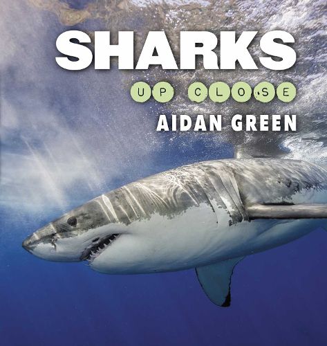Cover image for Sharks Up Close