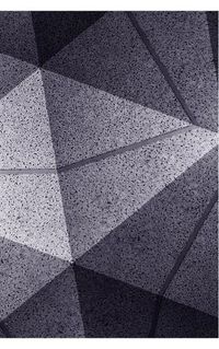 Cover image for The Triangular Fold