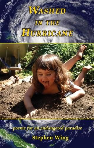 Cover image for Washed in the Hurricane