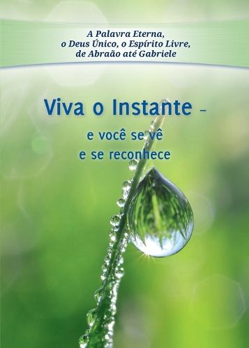 Cover image for Viva o Instante