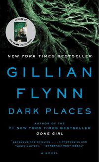 Cover image for Dark Places: A Novel