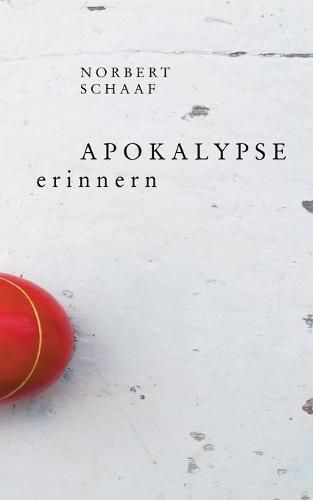 Cover image for Apokalypse erinnern