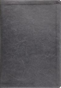 Cover image for ESV, Thompson Chain-Reference Bible, Leathersoft, Gray, Red Letter, Thumb Indexed