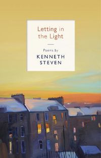 Cover image for Letting in the Light