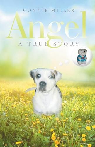 Cover image for Angel