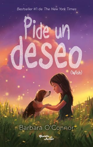 Cover image for Pide Un Deseo / Wish