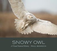 Cover image for Snowy Owl: A Visual Natural History