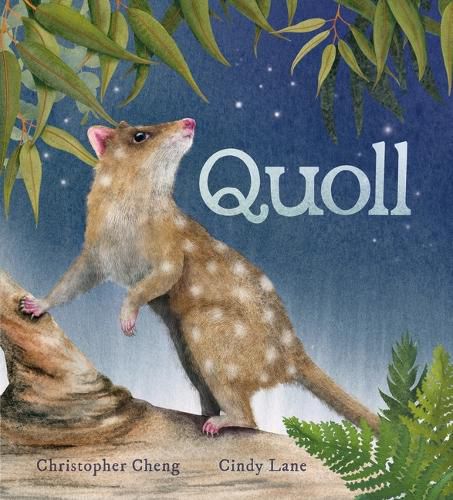 Cover image for Quoll