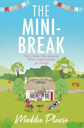 Cover image for The Mini-Break