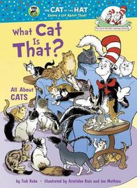 Cover image for What Cat Is That?: All About Cats