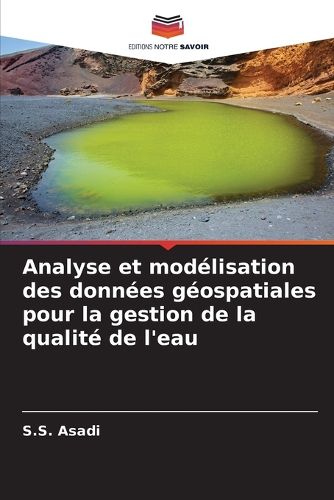 Cover image for Analyse et modelisation des donnees geospatiales pour la gestion de la qualite de l'eau
